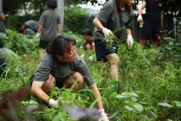 正苗启德青少年特训学校学子们体验劳作(图2)